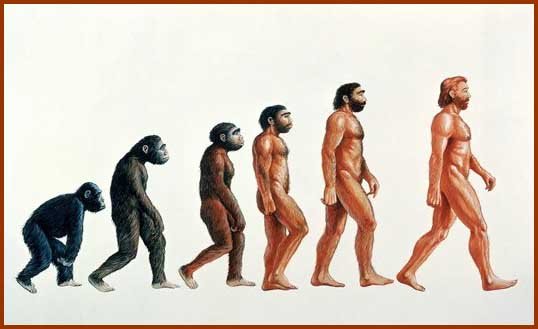 Monkey-Man1